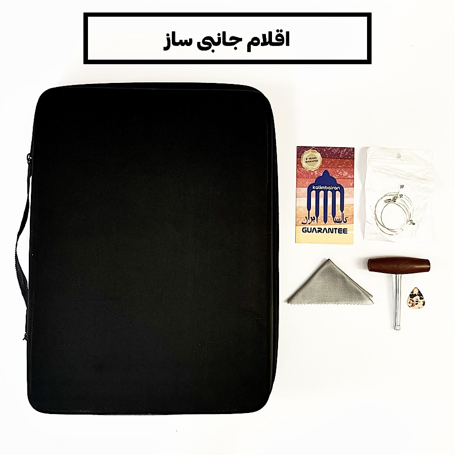 هاردکیس چنگ رومی و اقلام جانبی چنگ رومی